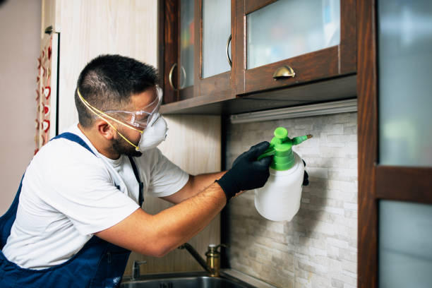 Wasp Removal Services in West Laurel, MD
