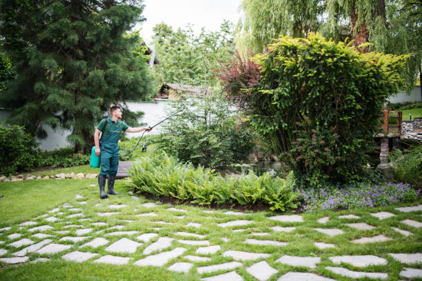 Best Residential Pest Control  in West Laurel, MD