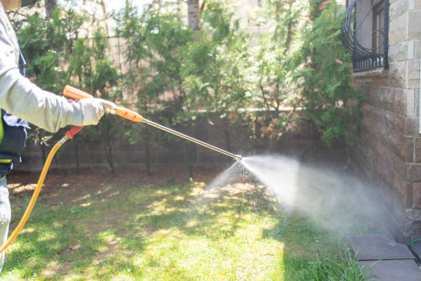 Best Flea Control Services  in West Laurel, MD